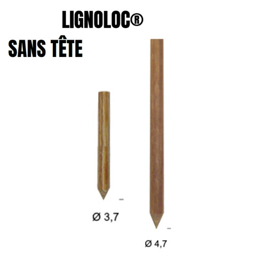 Pointes Lignoloc sans tête