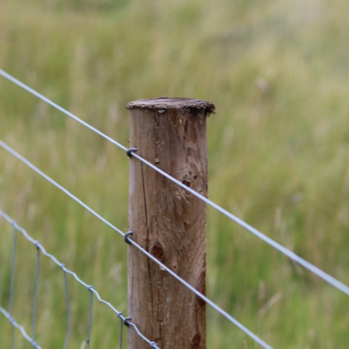 Pose de fil de clôture